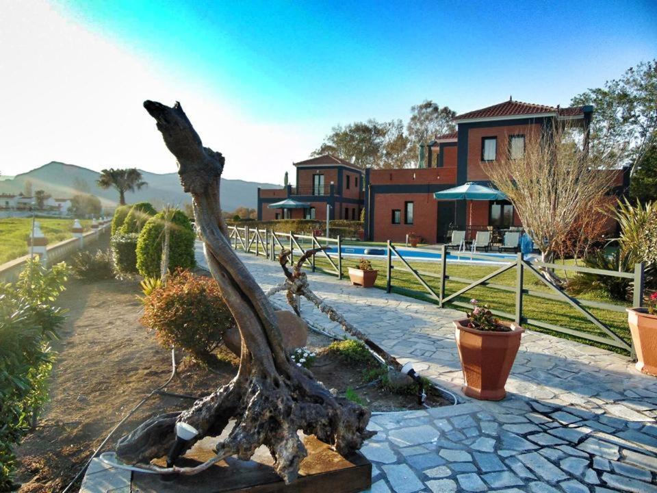 Kalloni Beach Villas Skala Kallonis Exterior foto